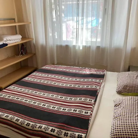 Lider Drumev Apartment *